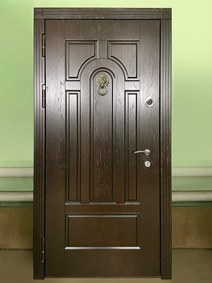 МДФ дверь с кнокером МДФ дверь с кнокером